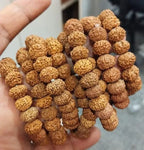 🔥 7 Mukhi Rudraksha Bracelet 🔥