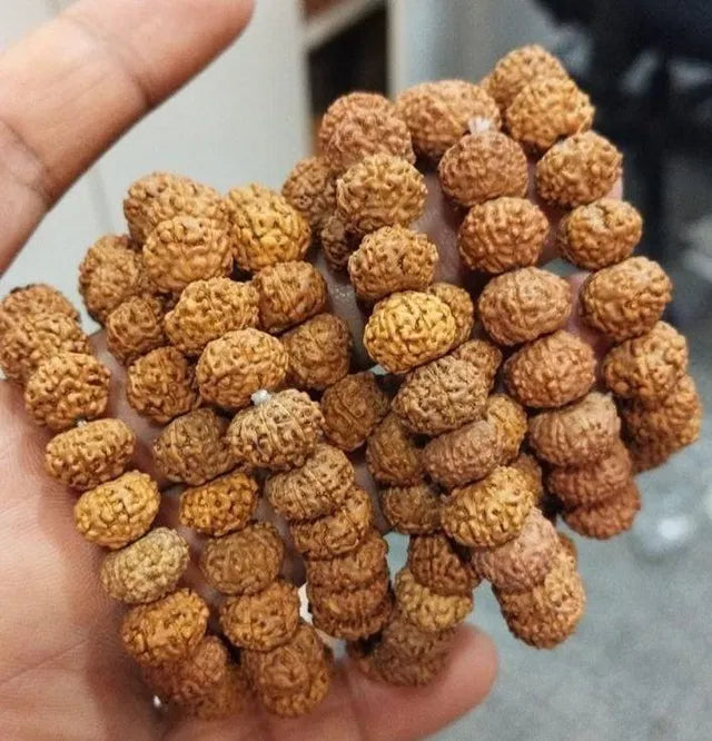 🔥 7 Mukhi Rudraksha Bracelet 🔥