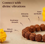 🔥 7 Mukhi Rudraksha Bracelet 🔥
